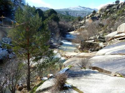 Gran Cañada; Cordel de la Pedriza; rutas en madrid; actividades de madrid;excursiones avila